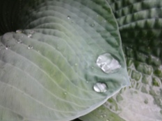 Water Droplet 03
